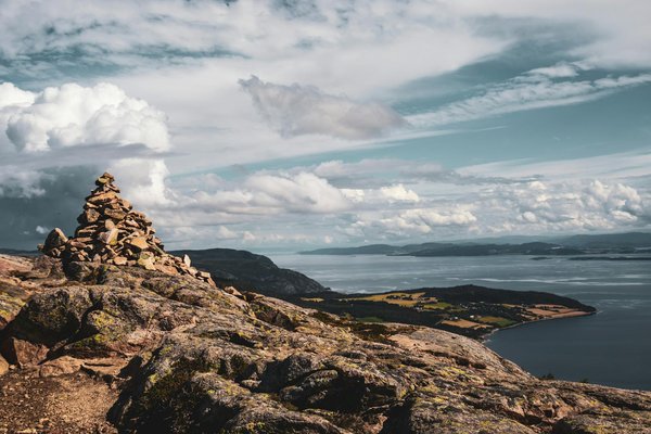 Guide de survie pour votre premier safari