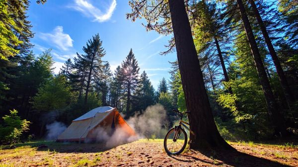 Top campings dans les landes pour des séjours familiaux mémorables